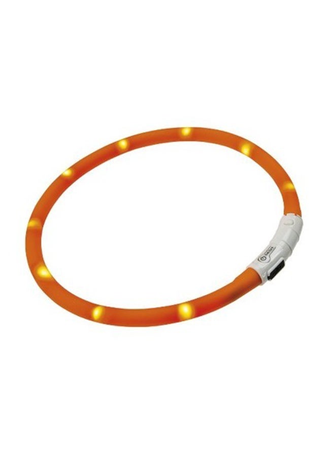 Night Over Flash Collar Assorted