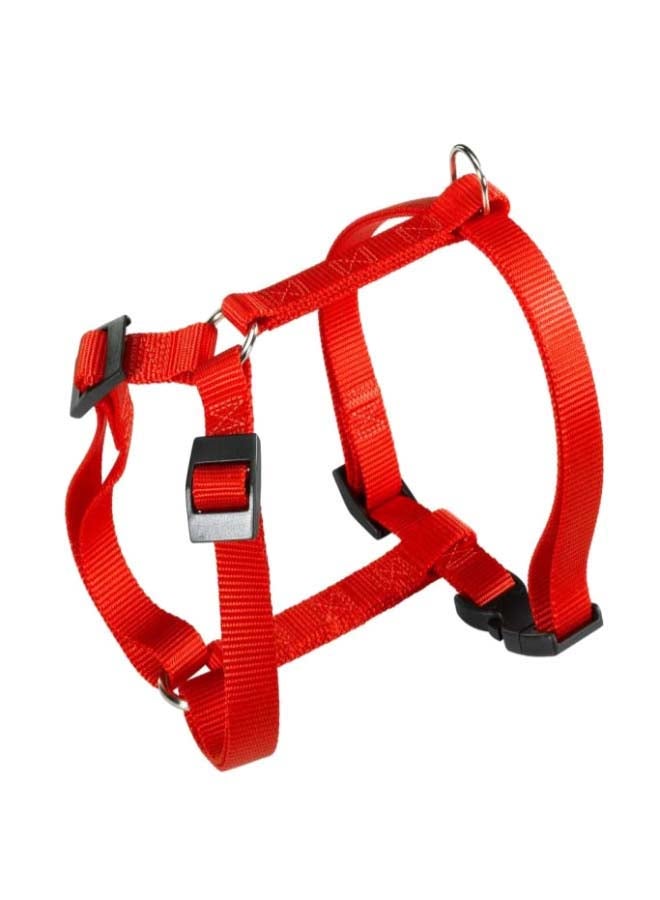 Champion Harness Multicolour