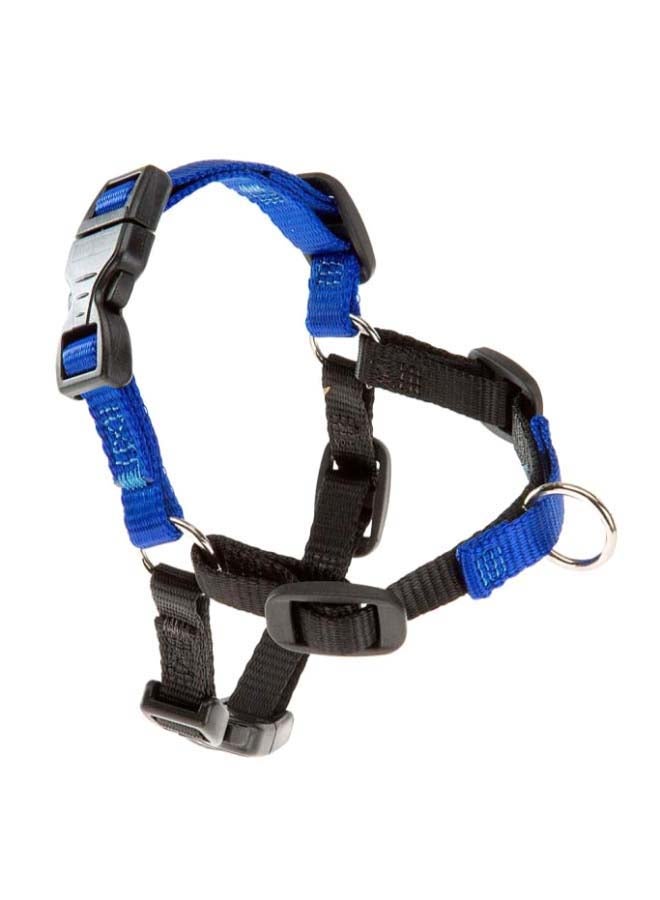 Coach P SM Harness Blue