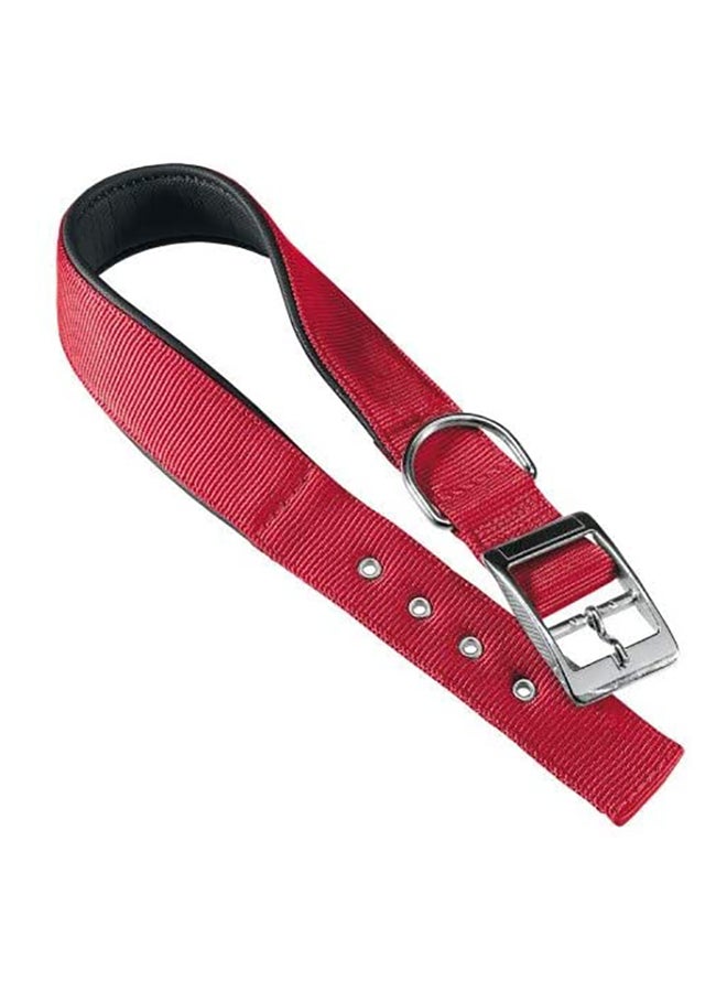 Daytona Pet Collar Red