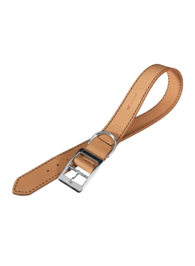 Natural Collar With Buckle Brown/Silver