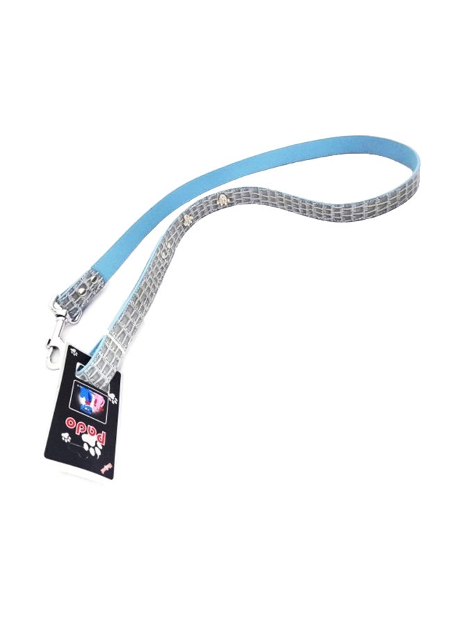 Smart Way Speckle Blink Leash