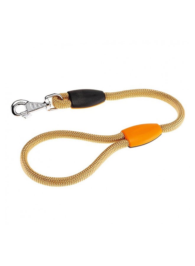 Sport Nylon Rope Dog Leash Assorted