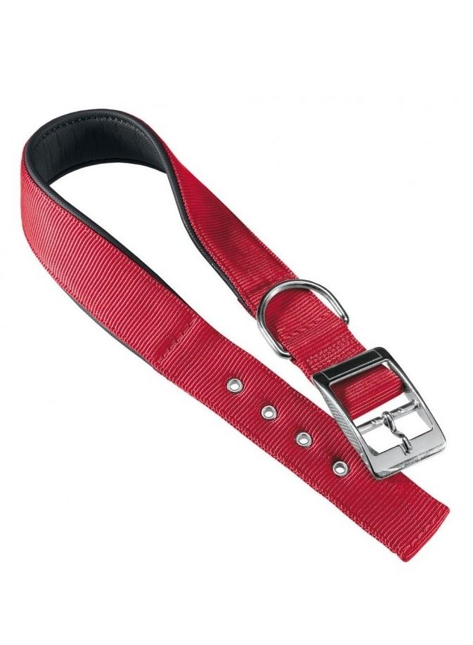 Daytona C Nylon Dog Collar With Metal Buckle Red