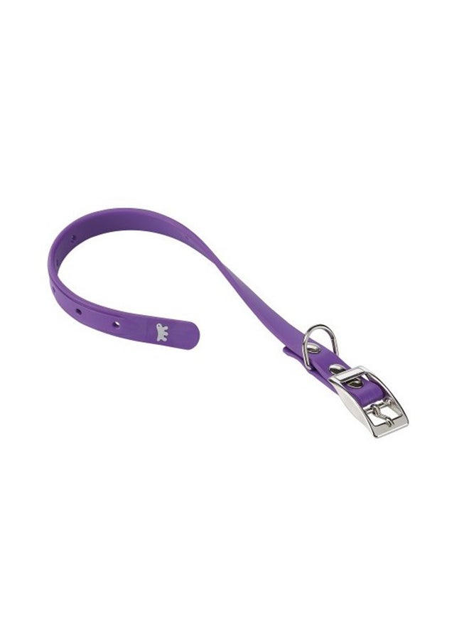 Rubber Dog Collar Purple
