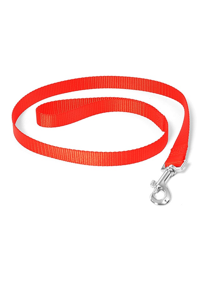 Nylon Dog Training Lead Red