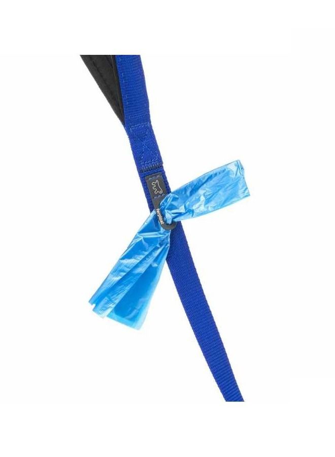 Daytona G Nylon Dog Leash Blue