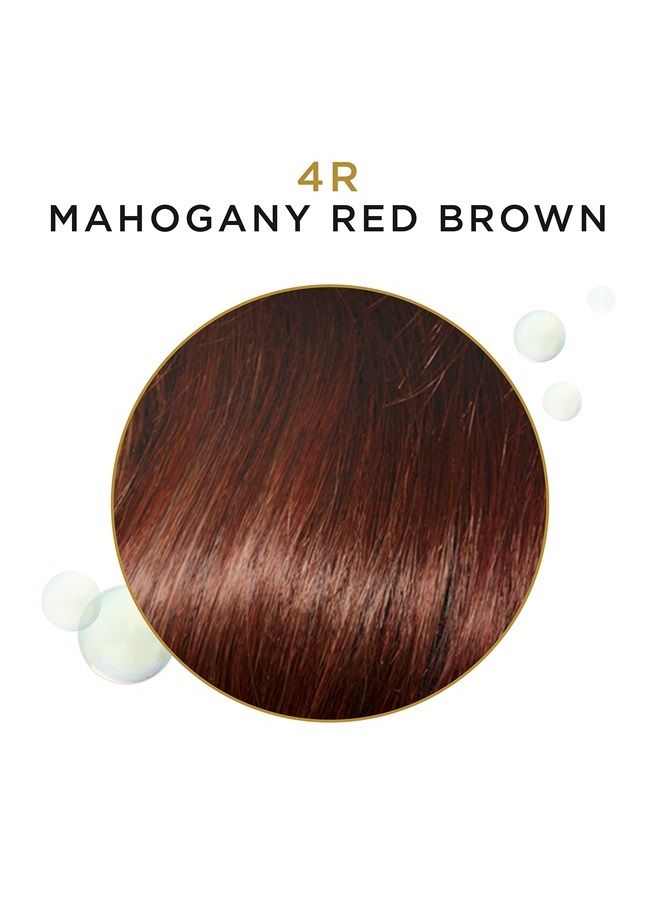 Beautiful Advanced Gray Solutions 4r Mahogany Red Brown, 3 oz