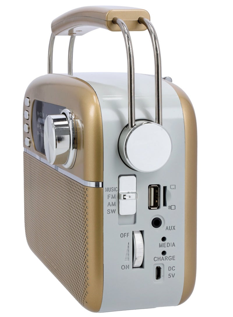 Rechargeable 3 Band Radio with Bluetooth | AUX Input | AC/DC Operation
