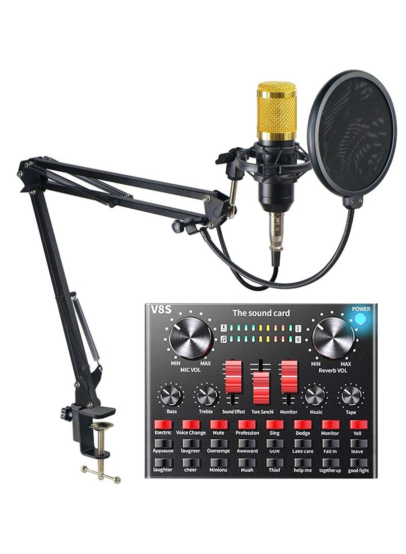 Multifunctional Sound Card V8S With Condenser Microphone Set Mic Stand And Filter Black Gold