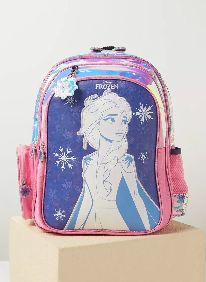 Premium Disney Frozen Elsa Printed Backpack, Lunch Box, and Water Bottle Set - Back to School Combo