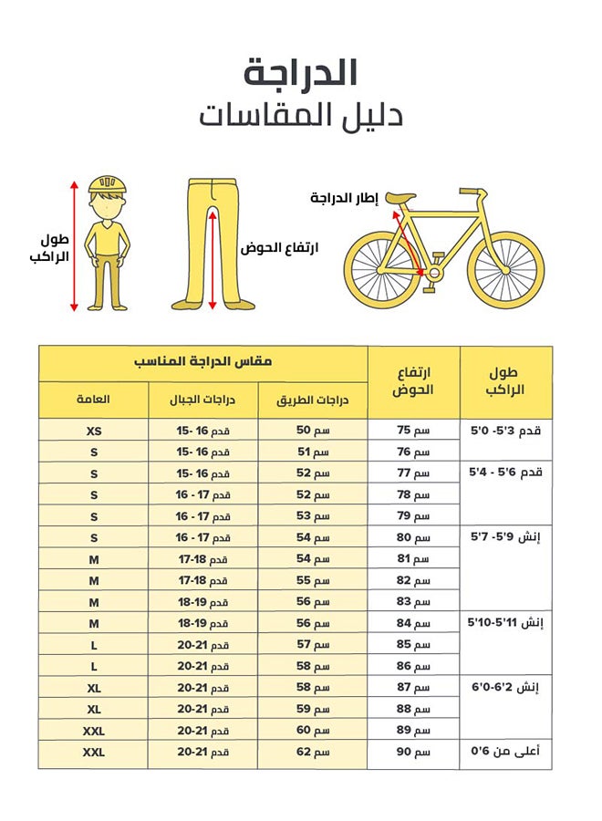 Riding Bicycle 28inch Size L