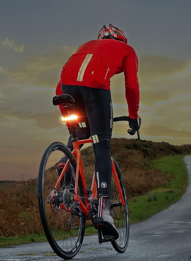 Bike Tail Light 2 Pack, Rear Back Lights for Night Riding, Bicycle Taillights with Great Battery Life, Easy to Install On Any or Helmet, 7 Mode Options, USB Rechargeable(Red)