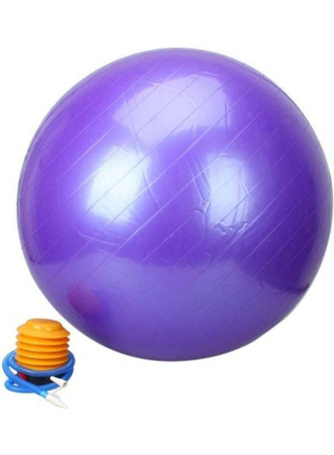 Swiss Anti Burst Yoga Aerobic Body Fitness Ball For Exercise Gym 65cm