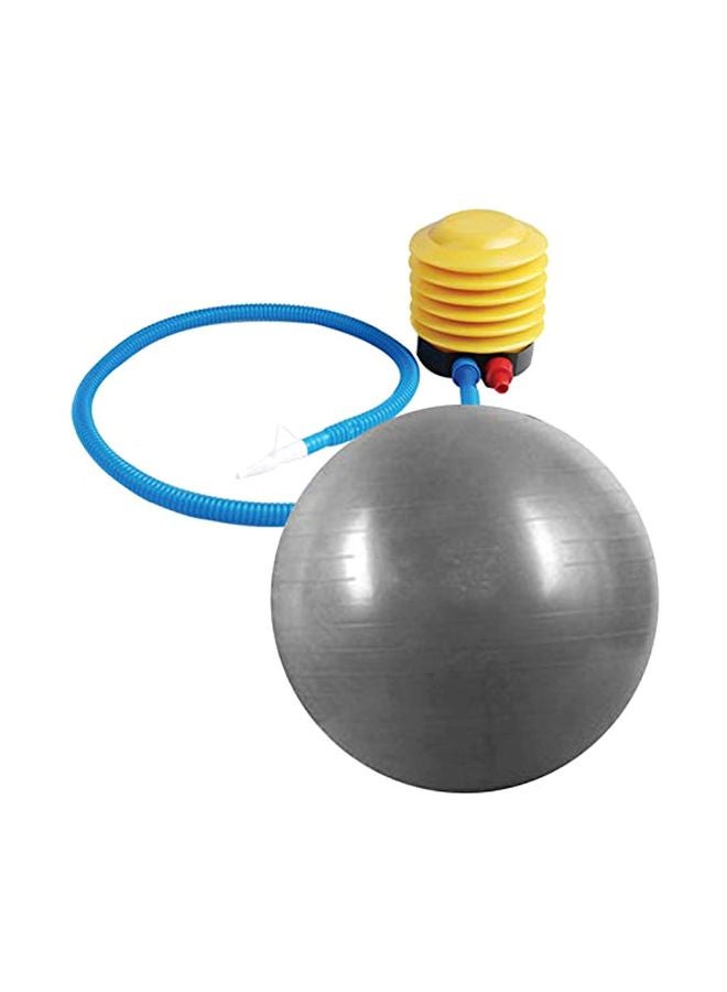 Swiss Yoga Ball 65cm