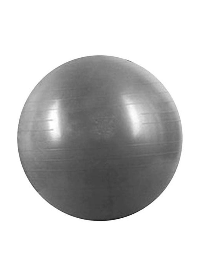 Swiss Yoga Ball 65cm