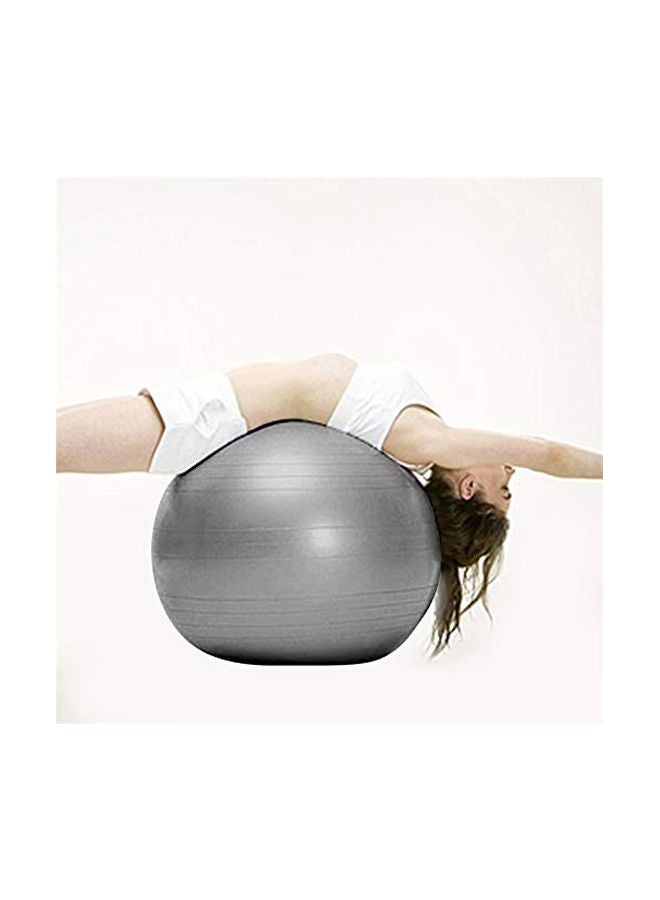 Swiss Yoga Ball 65cm