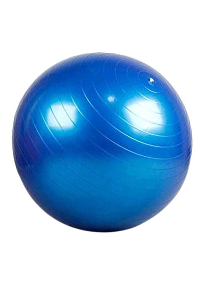 Balance Training Swiss Ball With Air Pump Set 95cm