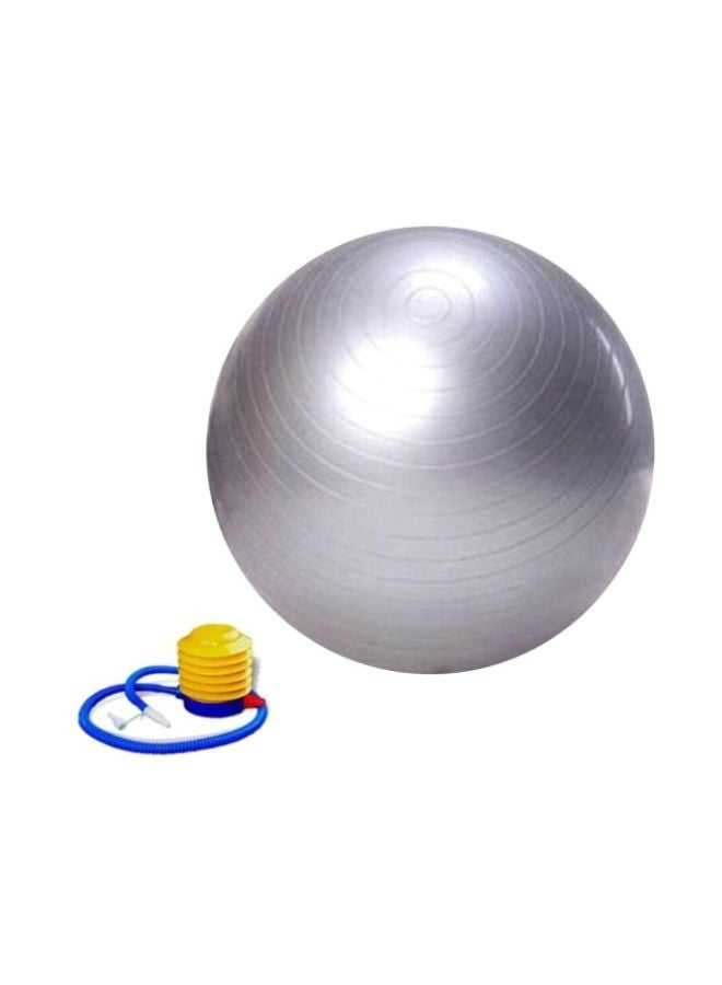 Exercise Swiss Ball With Pump- 95 cm 95cm