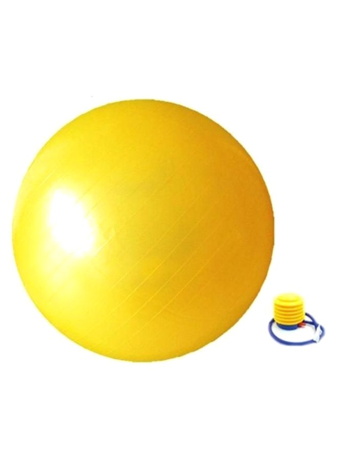 Stability Pilates Swiss Ball With Air Pump 65cm