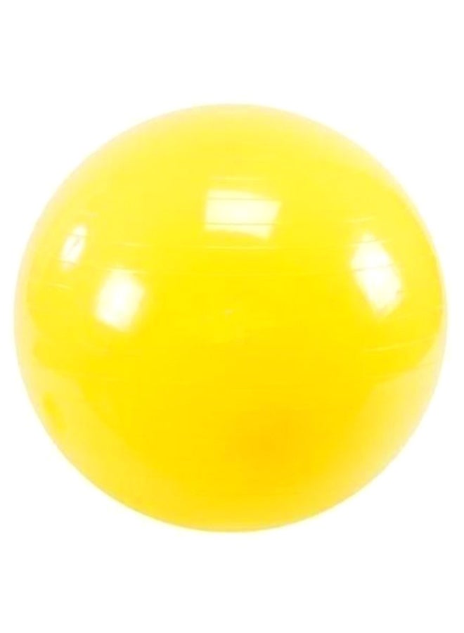 Stability Pilates Swiss Ball With Air Pump 65cm