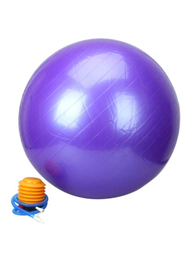 Swiss Ball - 65cm With Pump 65cm