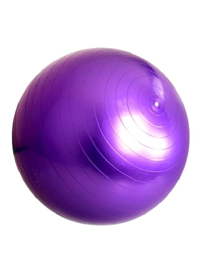 Swiss Ball - 65cm With Pump 65cm