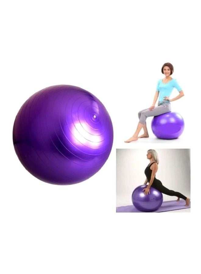 Swiss Ball - 65cm With Pump 65cm