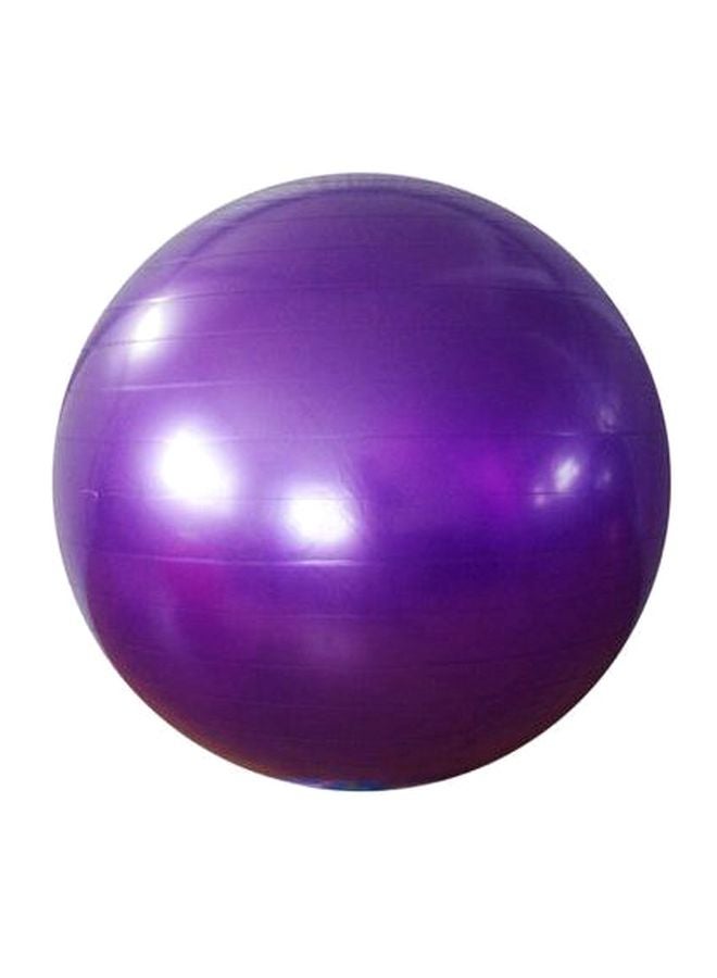 Swiss Ball - 65cm With Pump 65cm