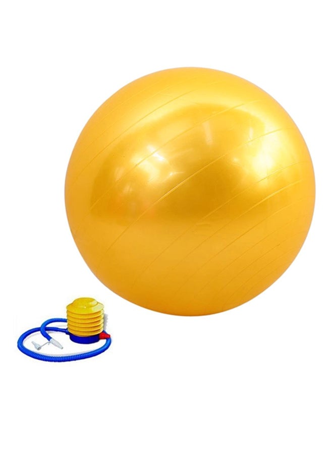 Large Anti-Burst Slip Fitness Ball With Pump 95Cm