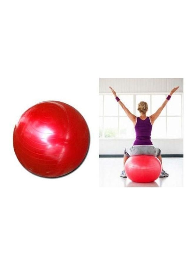 Swiss Anti Burst Yoga Aerobic Body Fitness Ball For Exercise Gym 65cm