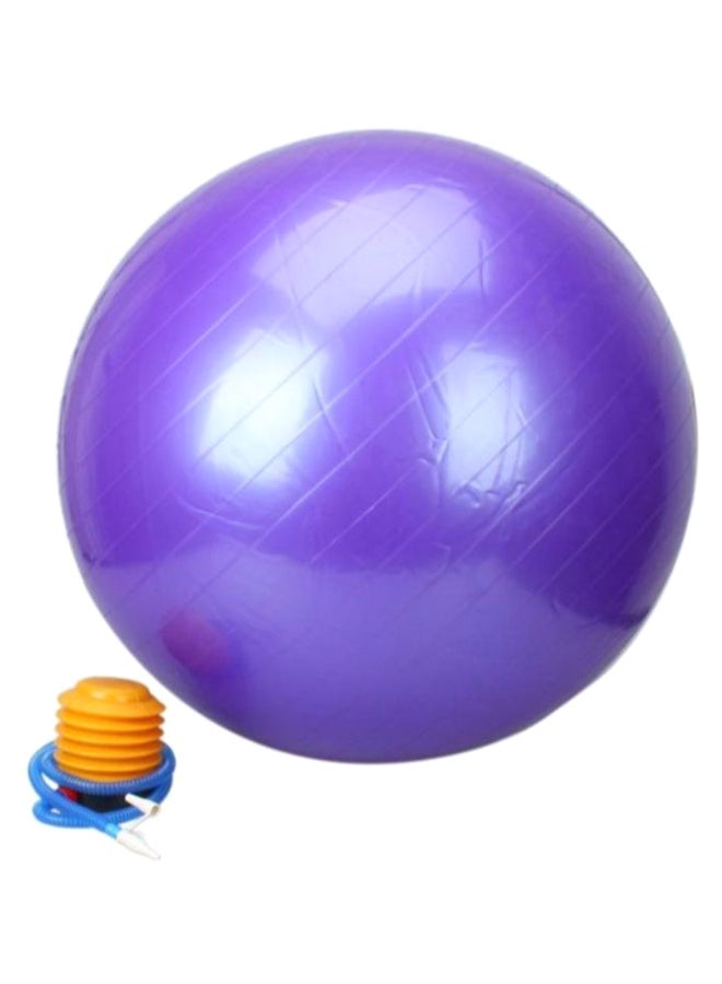 Fitness Exercise Swiss Ball With Pump 65cm