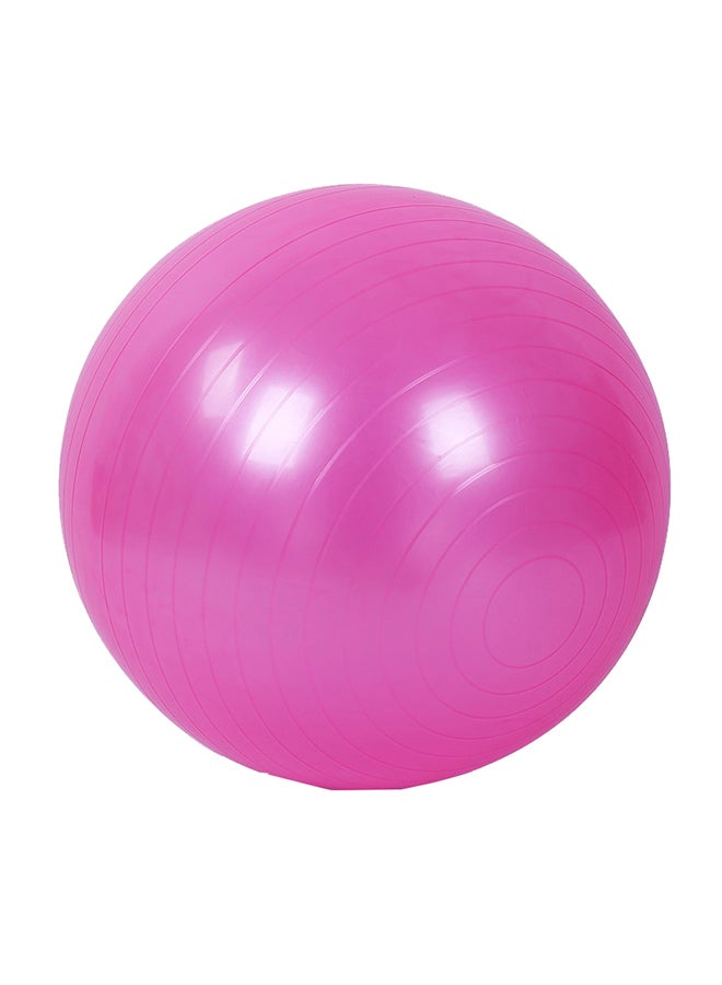 Exercise Swiss Ball 55X55cm