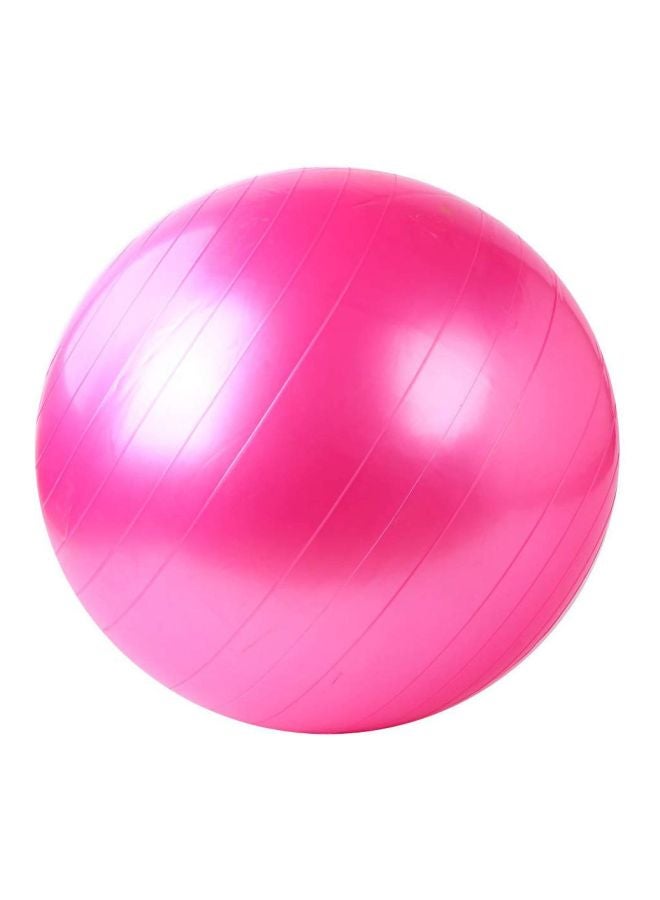 Swiss Ball With Pump Set 65cm