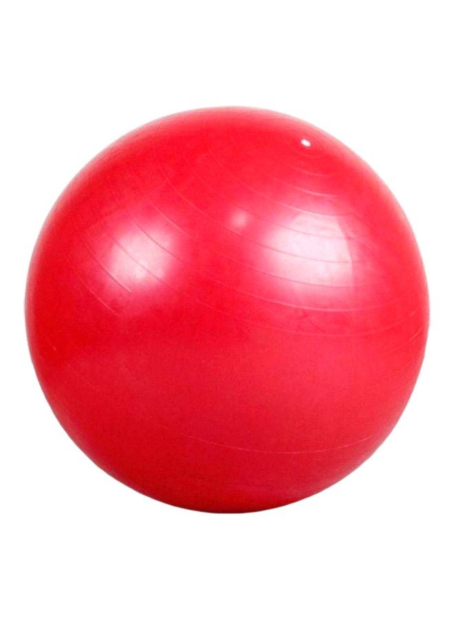 Balance Training Swiss Ball With Air Pump Set 95cm
