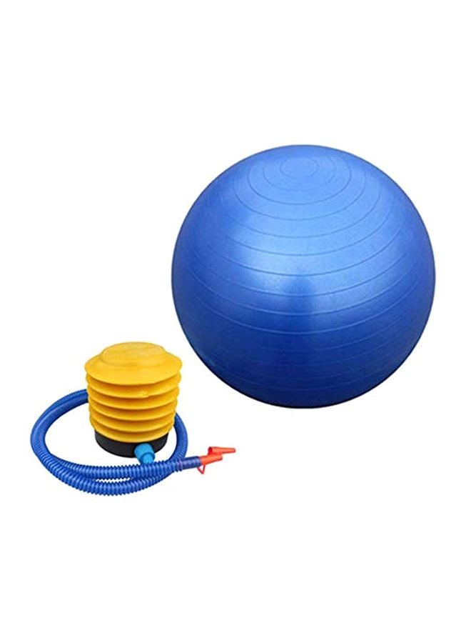 Swiss Ball With Pump Set 65cm