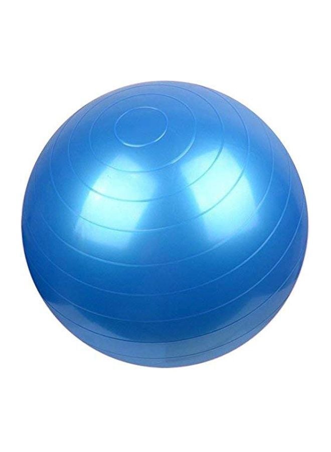 Swiss Ball With Pump Set 65cm