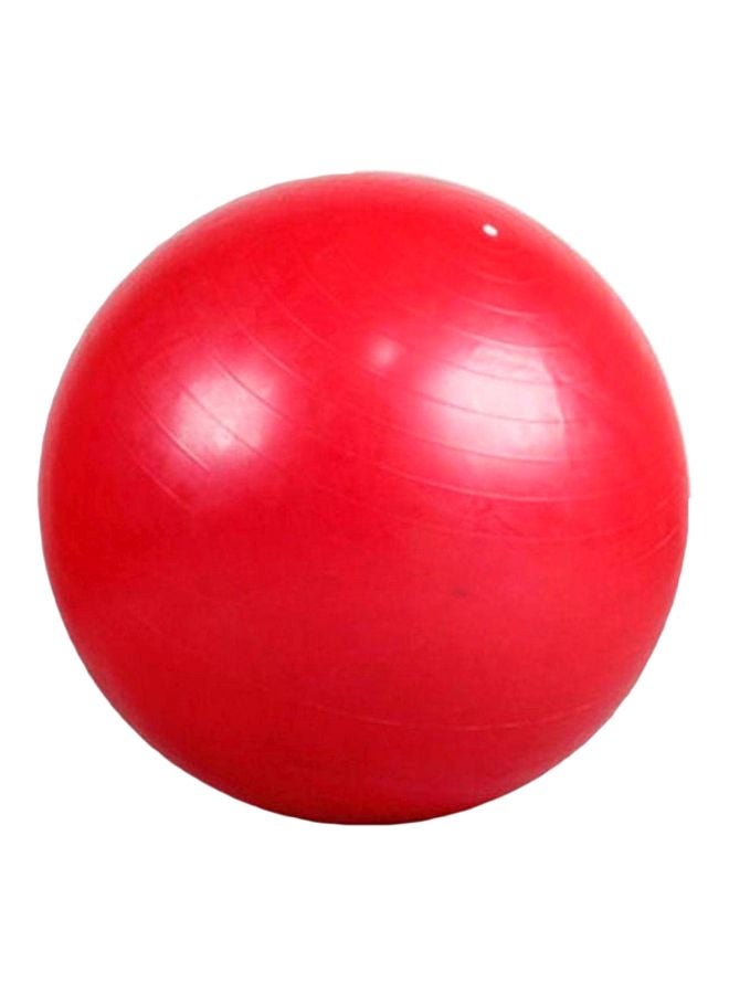 Balance Training Swiss Ball With Air Pump Set 95cm