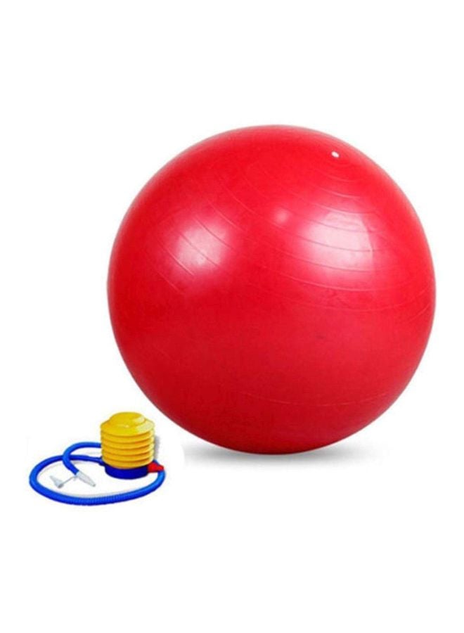 Balance Training Swiss Ball With Air Pump Set 95cm