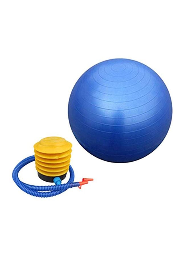 Swiss Ball With Pump Set 65cm