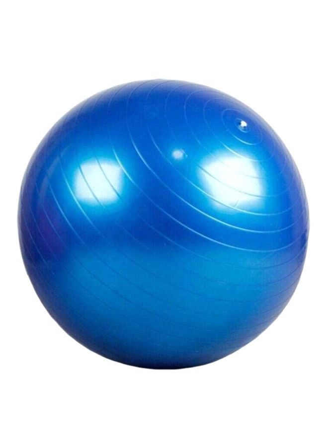 Balance Training Swiss Ball With Air Pump Set 95cm