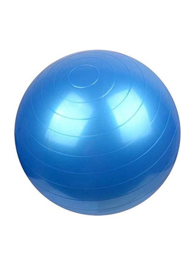 Swiss Ball 65cm