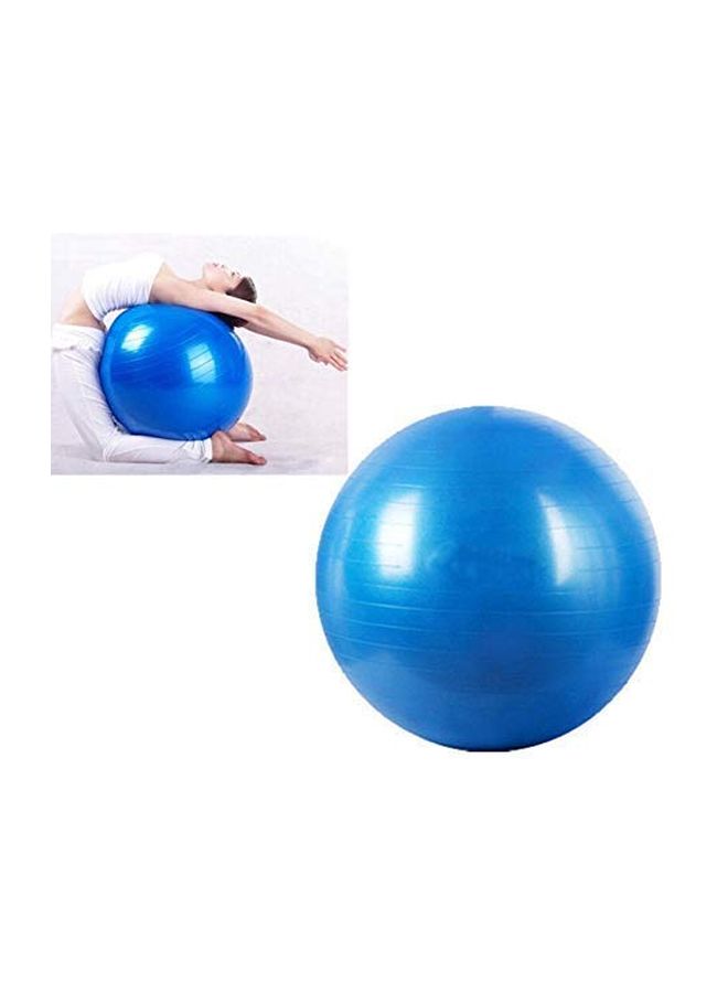 Swiss Ball 65cm