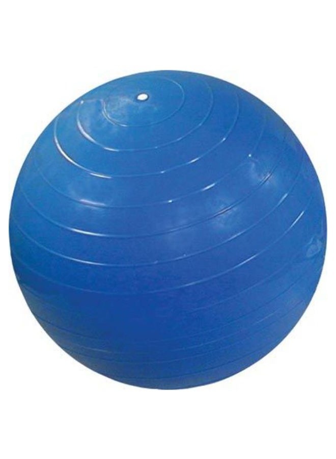 Exercise And Yoga Swiss Ball 65cm