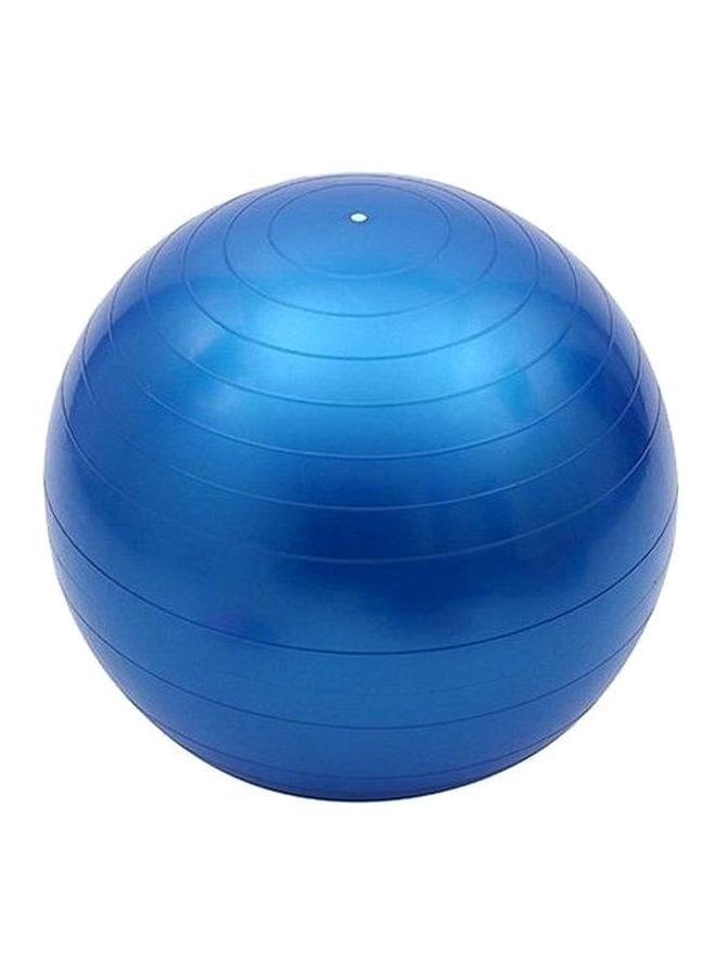 Swiss Ball - 65cm 65cm