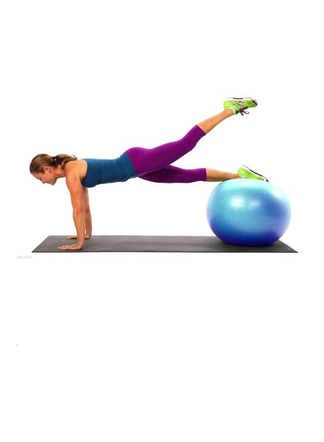 Swiss Ball - 65cm 65cm