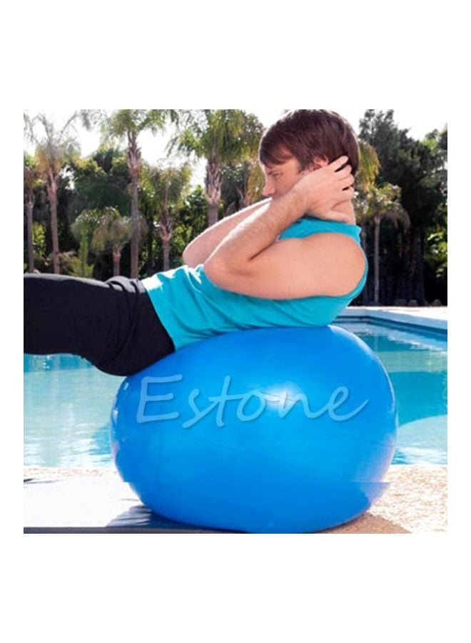 Swiss Ball - 65cm 65cm