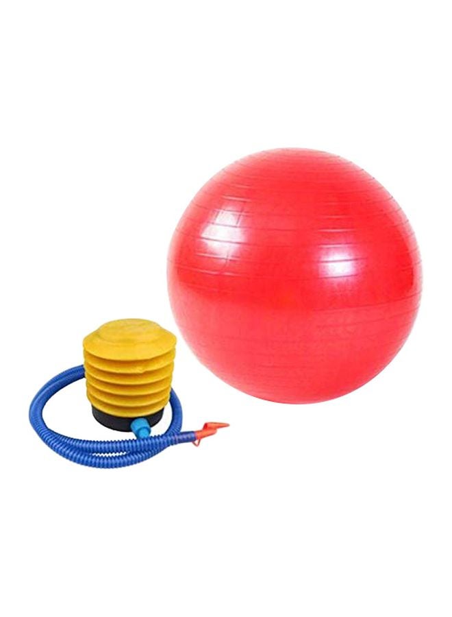 Swiss Ball With Pump Set 65cm