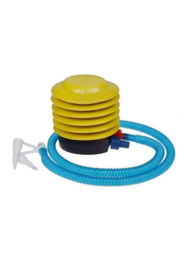 Swiss Ball With Pump Set 65cm