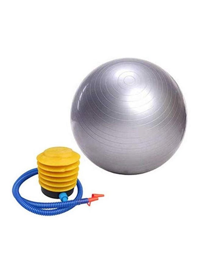 Swiss Ball With Pump Set 65cm